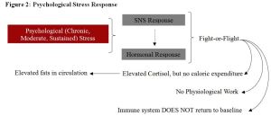 Psychological Stress Response Figure 2